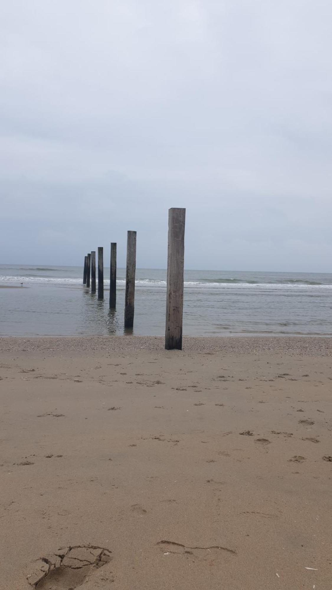 Rembrandts Beach View Zandvoort Extérieur photo