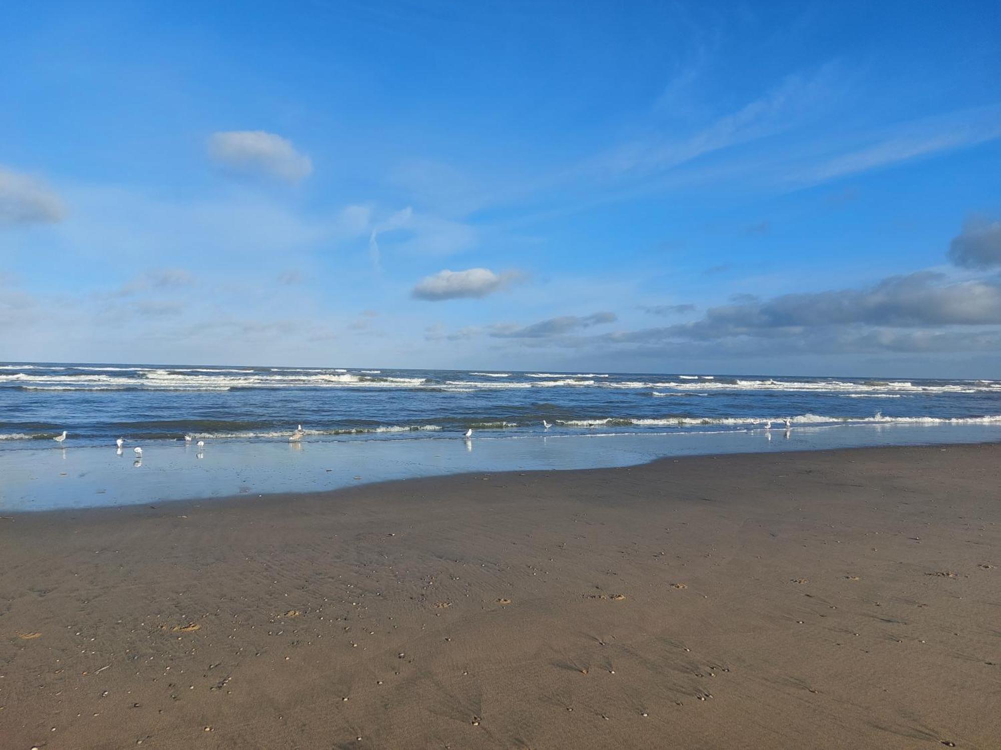 Rembrandts Beach View Zandvoort Chambre photo
